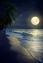 full moon beach.webp