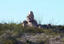 Marker monument on horizon solstice sunrise.webp