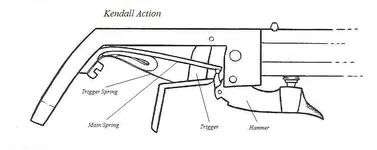 Kendall-1.webp