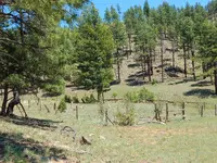 Ponil Town cemetery June 10 2017.webp