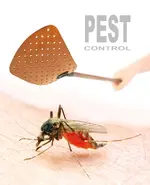 Swatting Flies.webp