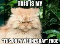 Wednesday Face.webp