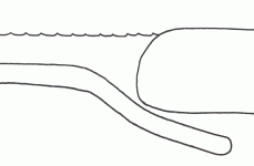 convergent-boundary-oceanic-continental.gif