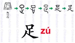 Chinese Symbol for Foot.webp