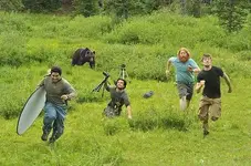 bear-running-92536.webp