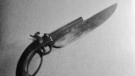 Elgin Cutlass Pistol.webp