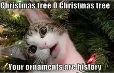 Your ornaments are history.webp