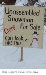 DIY snowman kit.jpg