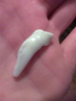 bens tooth 2.jpg