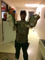 fish ohio crappie.webp