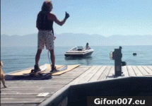 Water-Ski-Fail-Gifs-Gif-Funny-Dog.gif