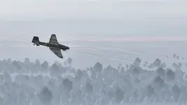 Stalingrad Stuka firing at target.webp