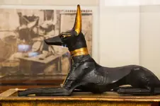 anubis-gottstatue-des-straffen-ankh-amonschatzes-ägyptisches-museum-112204707.webp