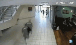 robber-escape-attempt-fail.gif