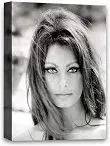 Sofia Loren.webp