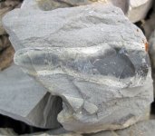 mineral_chert_grey_42142778762_7b35c32f3e.jpg