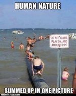 f800d65abd275ec05e239185d22de2e8--pipes-funny-signs.jpg