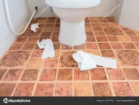 depositphotos_173047790-stock-photo-piece-of-toilet-paper-on.webp