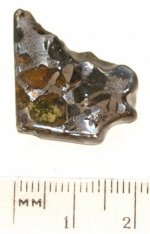 Brahin Pallasite Slice.jpg