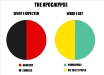 apocalypse-what-i-expected-anarchy-zombies-what-i-got-home-office-toilet-paper.webp