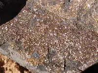 fine gold and pyrite.webp