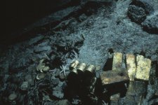 https___prod_static9_net_au___media_2018_05_31_15_27_Shipwreck_Treasure_85587.jpg