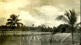 GRAVES SOLOMON ISLANDS.webp