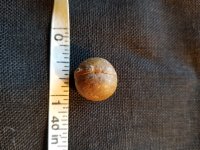 Musket ball?cleaned.jpg