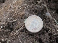 1863 penny just dug.JPG