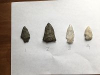 Arrowheads1.jpg