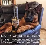 german-shepard-dog-drinking-corona-extra-dont-start-karen-thunderstorm.jpg