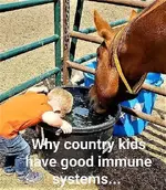 why-country-kids-have-good-immune-systems-drinking-with-horse-water.webp