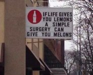 if-life-gives-you-lemons-simple-surgery-can-give-you-melons.jpg