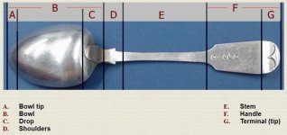 Spoon Anatomy.jpg