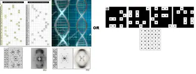 Numerical Patterning DNA Strands Forrest Fenn.webp