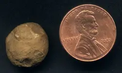 musket ball.webp