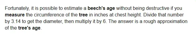 Screenshot_2020-07-13 how to measure the age of a beech tree - Google Search.webp