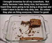 brought-brownies-coworkers-drug-testing-unless-plan-on-firing-everyone (1).jpg