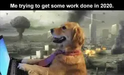 dog-laptop-me-trying-to-get-some-work-done-in-2020-explosions.webp