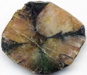 Chiastolite1.jpg