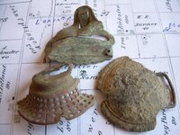 Field finds 4-18-08 025.jpg