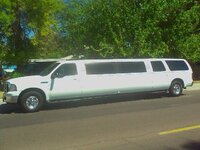 excutsion limo white.jpg