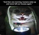 cat-flashlight-story-then-one-morning-humans-woke-up-and-never-left-houses-again.jpg