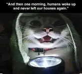 cat-flashlight-story-then-one-morning-humans-woke-up-and-never-left-houses-again.webp