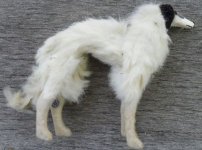 Borzoi 2.jpg