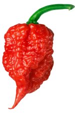 Carolina-Reaper-Pepper.jpg