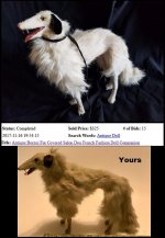 Borzoi.jpg