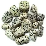 Dalmatian Jasper.webp