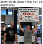 friends-picked-me-up-from-airport-parole-100-yards-away-from-sheep.webp