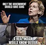 elizabeth-warren-only-government-should-have-guns-real-indian-would-know-better.webp